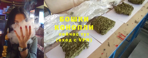 дживик Каменногорск