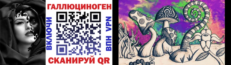 Псилоцибиновые грибы мицелий  Купить закладки  Мглин 