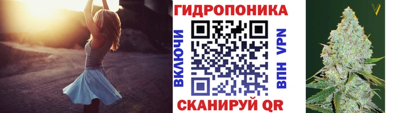 Шишки марихуана AK-47  Купить закладки  Мглин 